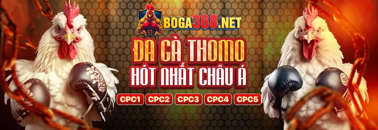 Điền tên đăng nhập và mật khẩu vào form