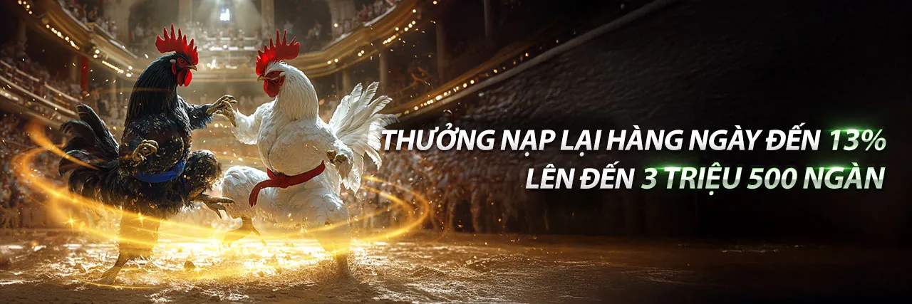 Các chương trình khuyến mãi mới nhất và hấp dẫn nhất của mmoo9